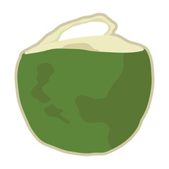 Isolate fresh young coconut fruit with opened one.