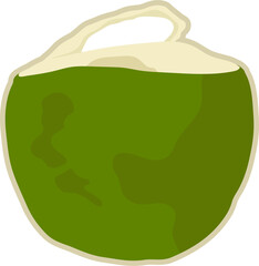 Isolate fresh young coconut fruit with opened one.