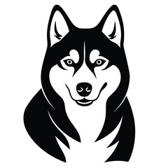 husky dog vector