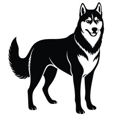 husky dog vector