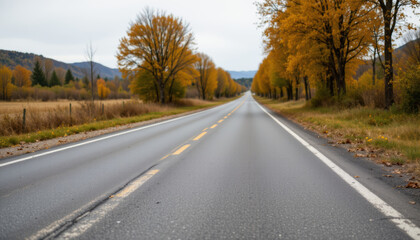 Fototapeta premium Autumn road with yellow trees on both sides under cloudy sky in countryside