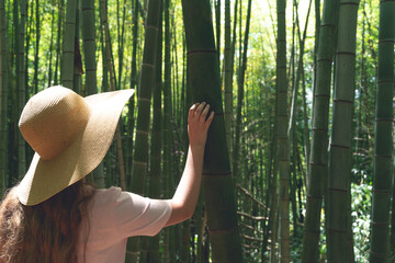 Girl in Straw Hat Exploring Bamboo Forest in Asia