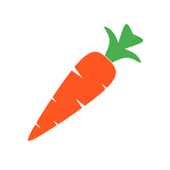 carrot illustration vector with trendy design