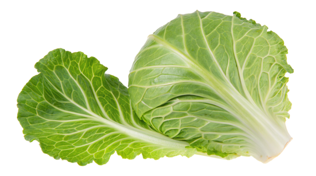 Fresh green collard greens leaves healthy eating vegetable nutrition raw food ingredient ninety nine