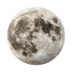 Naklejka premium Full moon, muted tones. Detailed craters