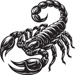Black and White Scorpion Vector Illustration – Aggressive Insect Tattoo Design	
