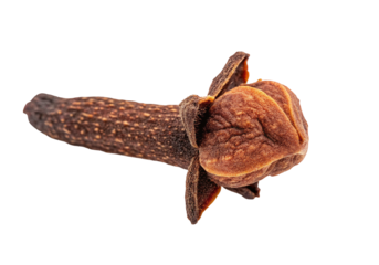 Close up of dried clove spice aromatic culinary ingredient for cooking and baking isolated detail 100