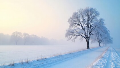Obraz premium Frost blankets a winter landscape, trees stand stark against a pale sky, a scene of quiet cold and frozen beauty The air is still, the ground covered in a thick layer of snow , outdoor, atmosphere