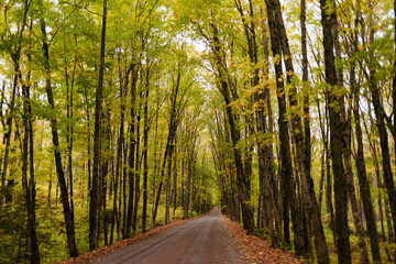 Fall Foliage road in the Keweenaw Peninsula