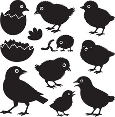 Baby Bird & Chick Silhouette Bundle – 10 Black Vector Designs – Hatchlings, Fluffy Chicks, Nestlings, Feeding, and More