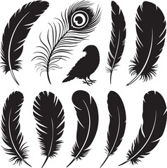 Obraz premium Bird Feather Silhouette Bundle – 10 Black Vector Feathers – Eagle, Peacock, Owl, Parrot, Songbird, Quill, Fan-Shaped and More