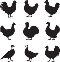 Fototapeta premium Farm Bird Silhouette Icon Set – 10 Black Vector Side Profiles – Rooster, Hen, Chick, Duck, Turkey, Goose, Quail, Pigeon, Guinea Fowl, Peafowl
