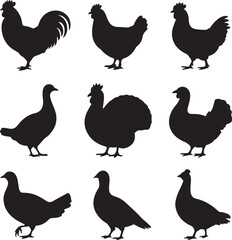 Farm Bird Silhouette Icon Set – 10 Black Vector Side Profiles – Rooster, Hen, Chick, Duck, Turkey, Goose, Quail, Pigeon, Guinea Fowl, Peafowl