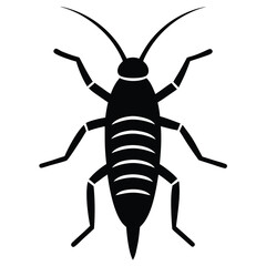 silverfish veector