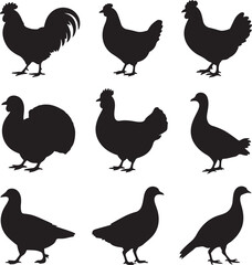 Farm Bird Silhouette Icon Set – 10 Black Vector Side Profiles – Rooster, Hen, Chick, Duck, Turkey, Goose, Quail, Pigeon, Guinea Fowl, Peafowl