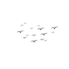 Simple birds flying isolated on white background.