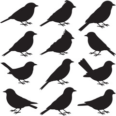Backyard Bird Silhouette Vector Bundle – 10 Black Icons – Sparrow, Robin, Cardinal, Blue Jay, Finch, Wren, Dove, and More – Side & Perch Views