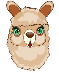 Animal alpaca on white background is insulated