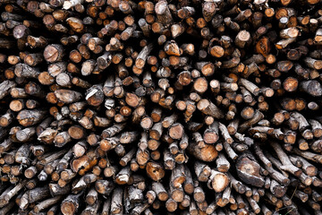 Background of heap firewood stack from Mangrove forest, natural wood, Background of dry chopped firewood logs.