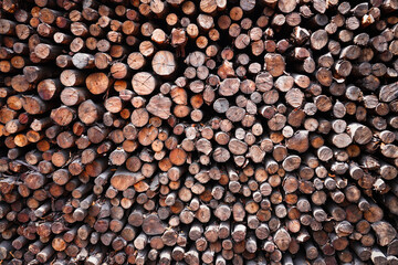 Background of heap firewood stack from Mangrove forest, natural wood, Background of dry chopped firewood logs.