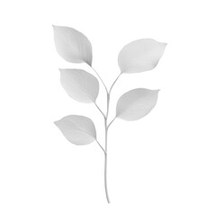 Obraz premium White plant with leaves grayscale background abstract art