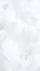 Fototapeta premium Soft White Feathers Scattered Across a Light Surface Create a Serene and Delicate Atmosphere Perfect for Various Artistic Projects
