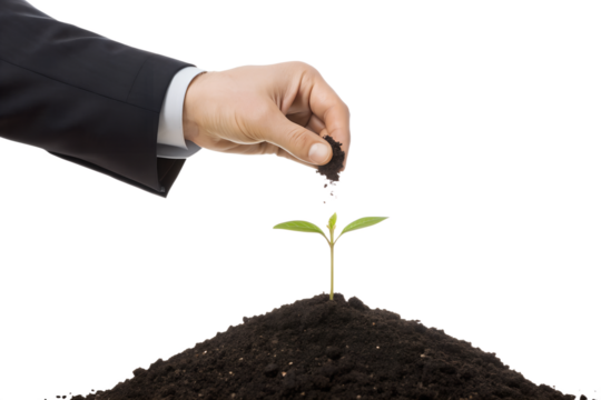 Nurturing Growth A Hand Carefully Planting a Seedling in Rich Soil