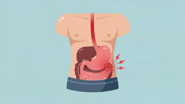 Human digestive system stomach pain illustration