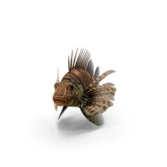 Obraz premium Lionfish isolated on transparent background