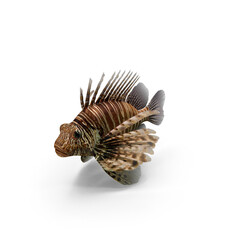 Lionfish isolated on transparent background