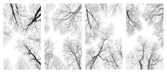 Bare tree silhouette vector pack textured halftone stipple branches view from below artistic winter forest transparent background natural ink style hand drawn trees