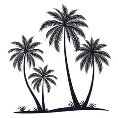Black palm trees set isolated on white background. Palm silhouettes. Design of palm trees for posters, banners and promotional items. Vector illustration.