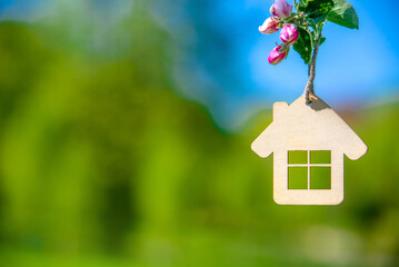 Symbol of the house on the branches of a flowering apple
