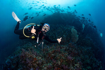 Female scuba diver diving at Richelieu Rock with massive fish schooling over the pinnacle. Richelieu Rock is one of the best dive sites for scuba diving in Asia. Located in Andaman sea, Thailand.