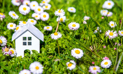 The symbol of the house stands among white daisies
