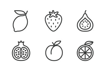Fresh fruit illustrations showcasing a variety of citrus and tropical flavors in simple line art style