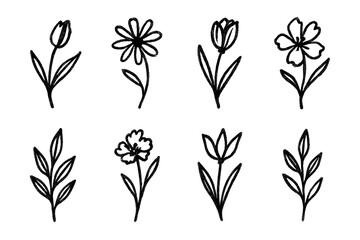 Various hand-drawn floral sketches featuring different flower types and foliage suitable for decoration