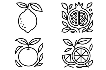 Creative line art of citrus and pomegranate fruits arranged in a pleasing design for decorative purposes