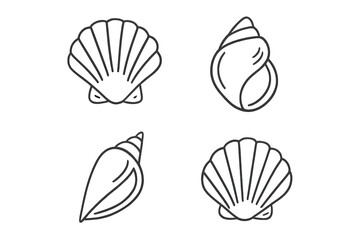 Various types of seashells sketched on a clean background illustrating marine biodiversity and beauty