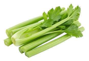 Fresh celery stalks and leaves healthy vegetable ingredient for cooking and raw eating diet food 100