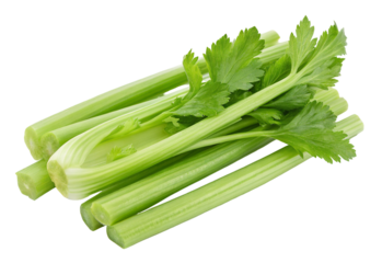 Fresh celery stalks and leaves healthy vegetable ingredient for cooking and raw eating diet food 100