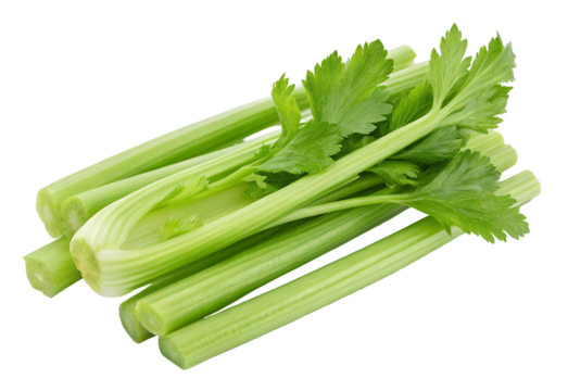 Fresh celery stalks and leaves healthy vegetable ingredient for cooking and raw eating diet food 100