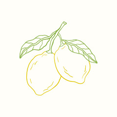 Doodle sketch illustration of lemon. Citrus tropical fruit