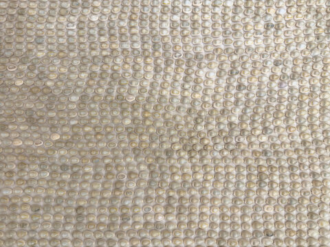 Glossy Iridescent shells in Close-Up: A Luxurious Textured Display