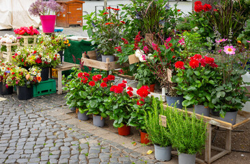 Marktstand mit schönen bunten Blumen auf einem Wochenmarkt in einer Großstadt.