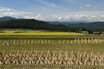 里山とわらぼっち