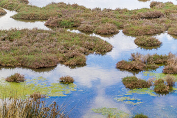 Izmir Wildlife Park, called inceralti Kent ormanli, is a large and beautiful park area with flamingos