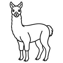 Llama silhouette line art elegant vector illustration