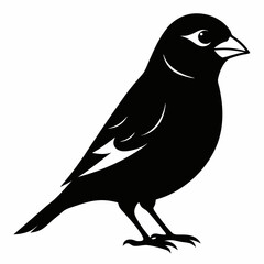 Finch Silhouette Vector Illustration on White Background a Simple Bird Design for Various Creative Projects and Graphic Design Needs