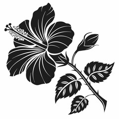 A captivating black silhouette of a hibiscus flower shows a budding stem with leaves